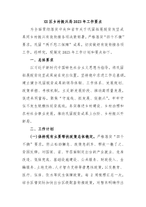 XX区乡村振兴局20XX年工作要点