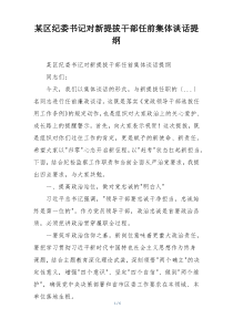 某区纪委书记对新提拔干部任前集体谈话提纲