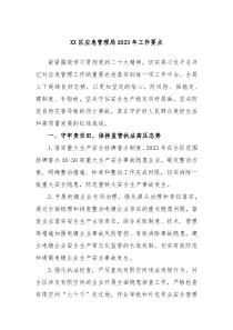 XX区应急管理局20XX年工作要点