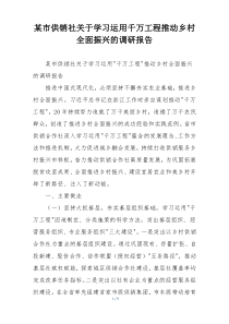 某市供销社关于学习运用千万工程推动乡村全面振兴的调研报告