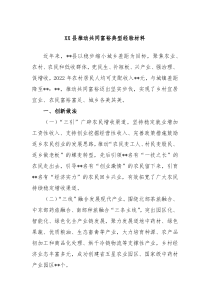 XX县推动共同富裕典型经验材料