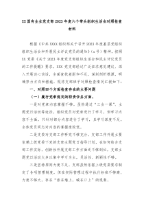 XX国有企业党支部20XX年度六个带头组织生活会对照检查材料