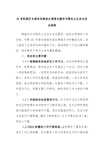 XX审批副区长落实巡察组反馈意见整改专题民主生活会发言提纲