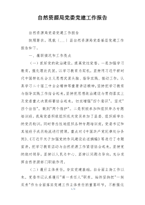自然资源局党委党建工作报告