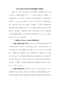 XX市20XX年全市文化和旅游工作要点