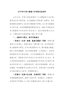 XX市审计局大数据工作创新交流材料