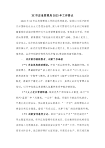 XX市应急管理局20XX年工作要点