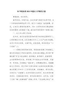 XX市税务局20XX年重点工作情况汇报