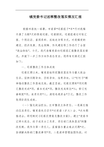 镇党委书记巡察整改落实情况汇报