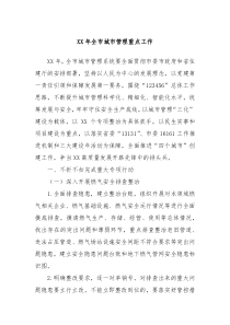 XX年全市城市管理重点工作