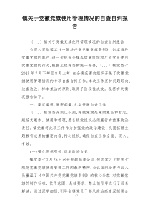 镇关于党徽党旗使用管理情况的自查自纠报告