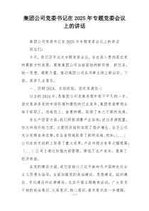 集团公司党委书记在2025年专题党委会议上的讲话