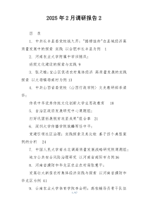 2025年2月调研报告2