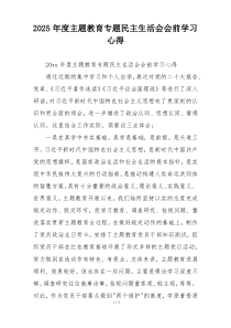 2025年度主题教育专题民主生活会会前学习心得