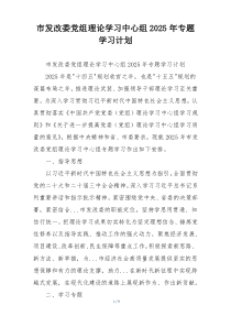 市发改委党组理论学习中心组2025年专题学习计划