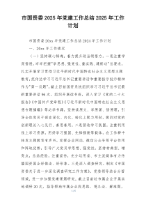 市国资委2025年党建工作总结2025年工作计划