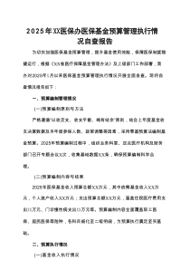 2025年XX医保办医保基金预算管理执行情况自查报告