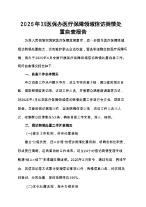 2025年XX医保办医疗保障领域信访舆情处置自查报告
