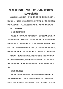 2025年XX镇“四送一服”办惠企政策兑现效率自查报告