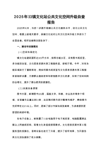 2025年XX镇文化站公共文化空间升级自查报告