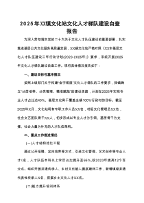 2025年XX镇文化站文化人才梯队建设自查报告