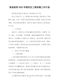 某县政府2025年度民生工程实施工作计划