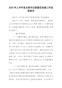 2025年上半年党支部书记抓基层党建工作述职报告