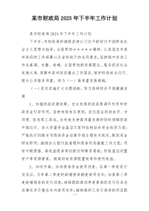 某市财政局2025年下半年工作计划