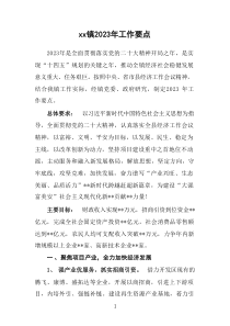 XX镇20XX年工作要点