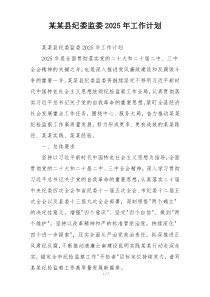 某某县纪委监委2025年工作计划