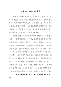 XX镇20XX年政府工作要点
