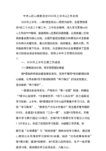 中共区镇委员会2025年上半年党建工作总结