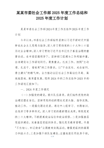 某某市委社会工作部2025年度工作总结和2025年度工作计划