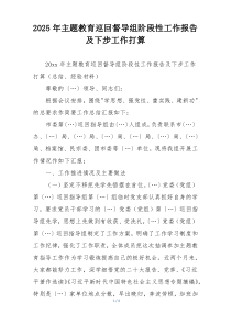 2025年主题教育巡回督导组阶段性工作报告及下步工作打算