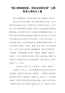 “凝心铸魂强根基、团结奋进新征程”主题教育心得体会2篇
