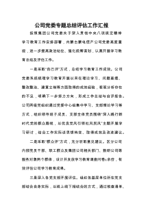 公司党委专题总结评估工作汇报