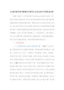 XX镇巡察反馈问题整改专题民主生活会班子对照检查材料