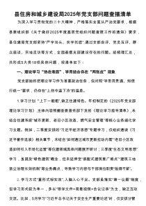 县住房和城乡建设局2025年党支部问题查摆清单