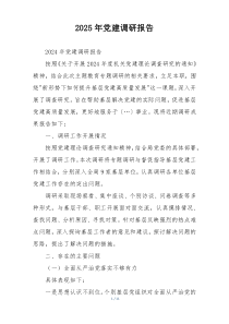 2025年党建调研报告