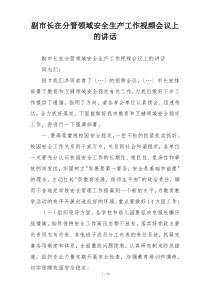 副市长在分管领域安全生产工作视频会议上的讲话
