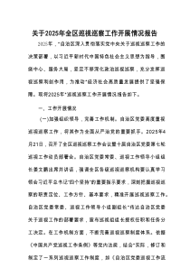 2025年全区巡视巡察工作开展情况报告