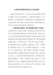 XX领导在民营经济发展大会上的发言稿