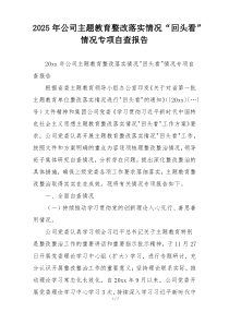 2025年公司主题教育整改落实情况“回头看”情况专项自查报告