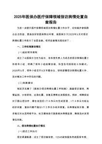 2025年医保办医疗保障领域信访舆情处置自查报告