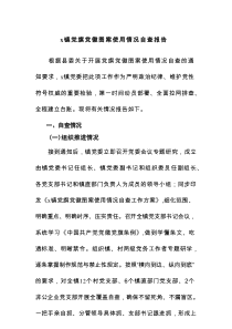 镇党旗党徽图案使用情况自查报告
