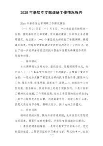 2025年基层党支部调研工作情况报告