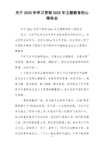 关于2025年学习贯彻2025年主题教育的心得体会