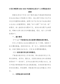 X党支部副职20XX20XX年度组织生活会个人对照检查发言提纲