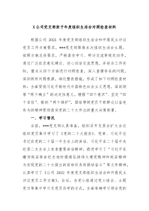 X公司党支部班子年度组织生活会对照检查材料