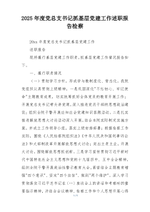 2025年度党总支书记抓基层党建工作述职报告检察
